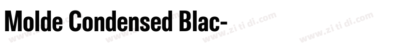 Molde Condensed Blac字体转换